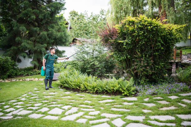 Sloan, NY Tree Services Company